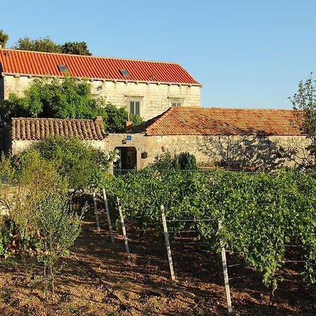 Villa Violic Zaton  Exterior foto